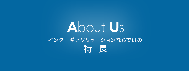 インターギアソリューションならではの特長